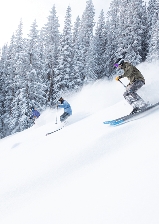 Three skiers ride down a powder-y hill, with snow coated trees in the background