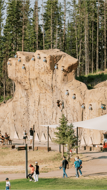 Elk Camp climbing wall in the summer