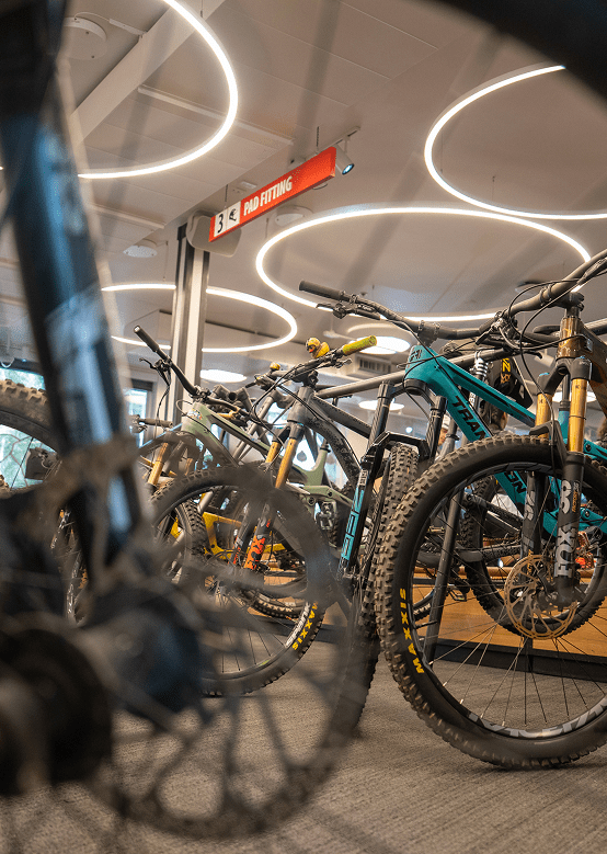 creative view of a bunch of bikes in four mountain sports, available for rent or buy