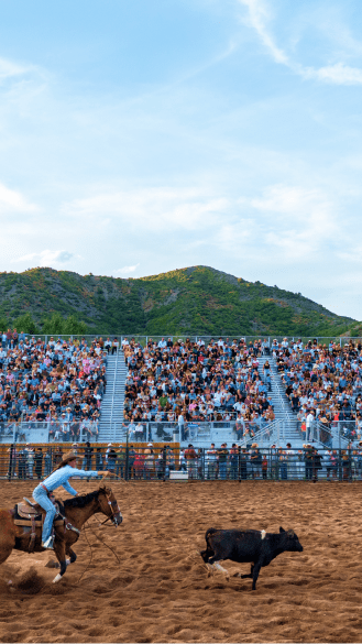 Man riding a horse ropes a cow in front of bleachers of people during Snowmass's rodeo