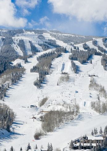 Overview of Snowmass