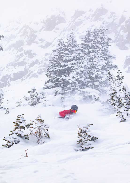Snowmass Powder Day
