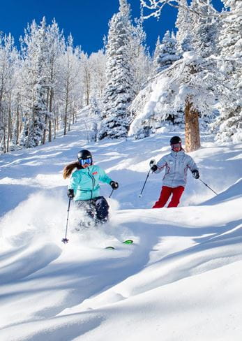 Powder skiing with a guide at Aspen Mountain