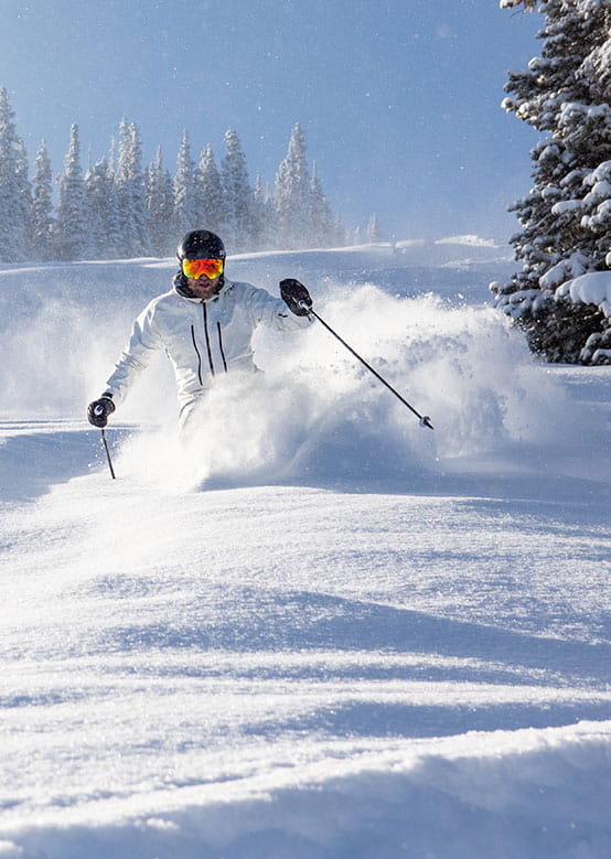 A skier carves through powder snow, surrounded by snow-laden trees and a clear blue sky.