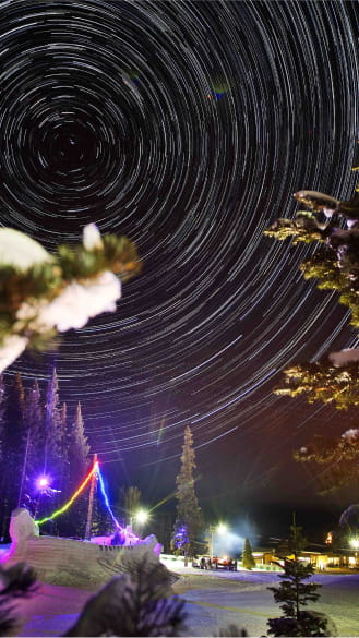 Light display in the trees with neon lights on the snow
