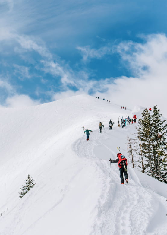 Skiers ascend a snow-covered ridge, carrying skis, through a snowy landscape under a blue sky.