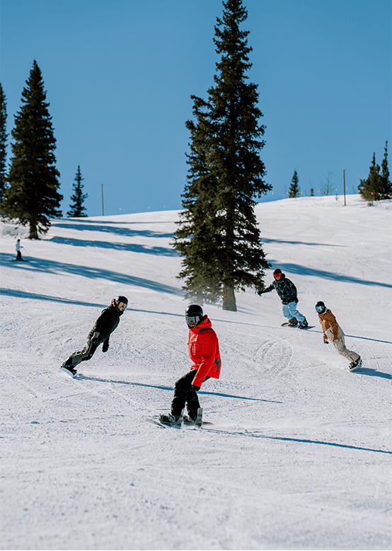 Four snowboarders carve fresh trails down a snowy slope, framed by evergreens under a clear blue sky.