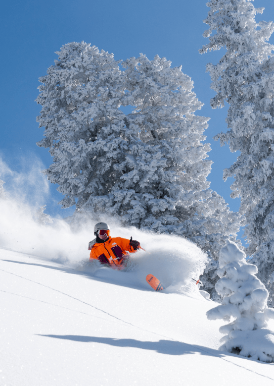 Skier in orange jacket skiing through perfect powder on a blue sky day in Aspen Snowmass