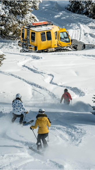 Three skiers in skie gear carve through deep powder towards a snow cat at Aspen Mountain