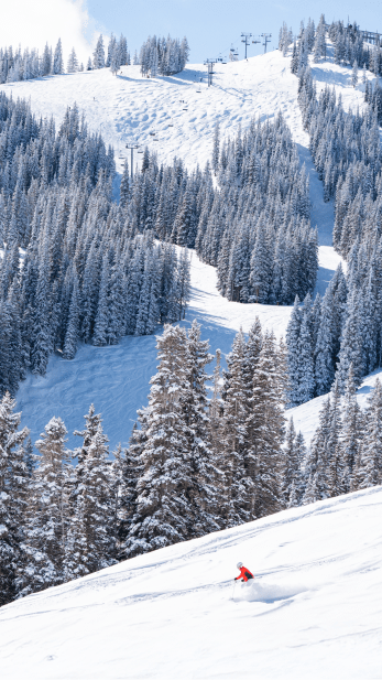 single skier in powder on a blue bird day on Aspen Mountain