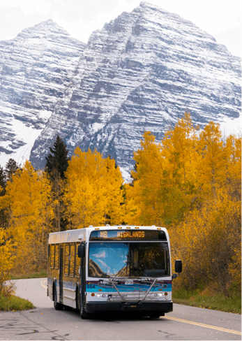 Orange trees line the road to the maroon bells, snowy bells in the back
