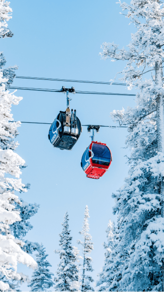 Two gondola cars pass each other on the line above snowy trees on a blue bird day