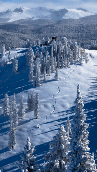 Fresh track on fresh powdery slope on bell mountain at aspen ski resort