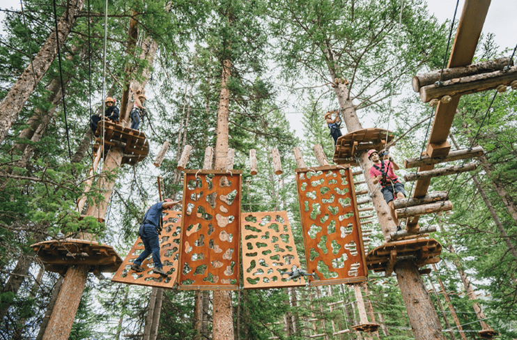 The aerial challenges and rope swings at the Lost Forest are impressive