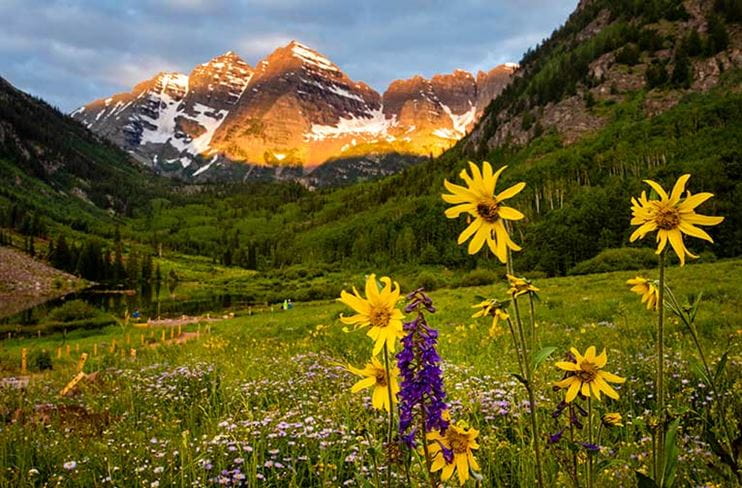 Maroon Bells and wildflowers in early morning light