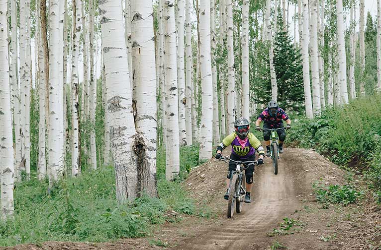 1-Day Bike Park Demo Package