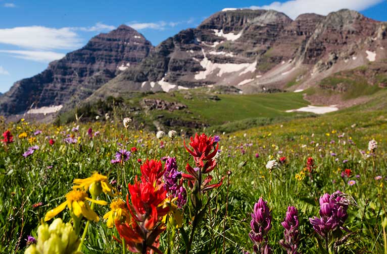 The Four Pass Loop near Aspen