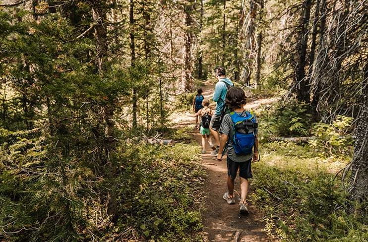 Hiking the Lost Forest at Snowmass