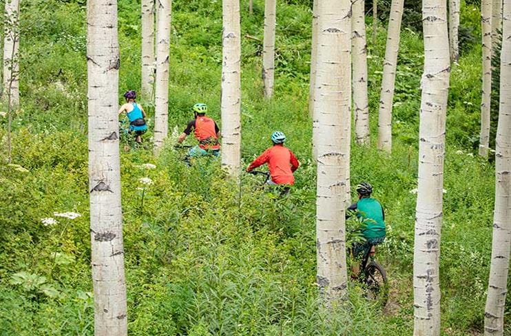 Snowmass Bike Park riders pedaling through the trees