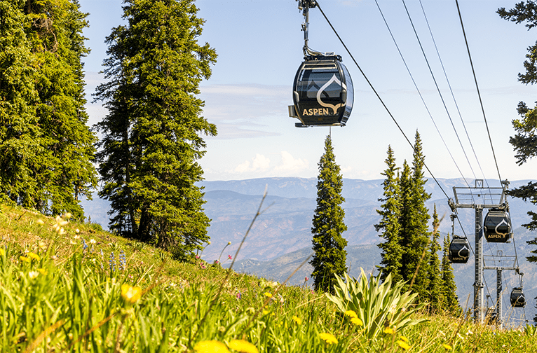 Silver Queen Gondola over a green wild flower field at Aspen mountain 