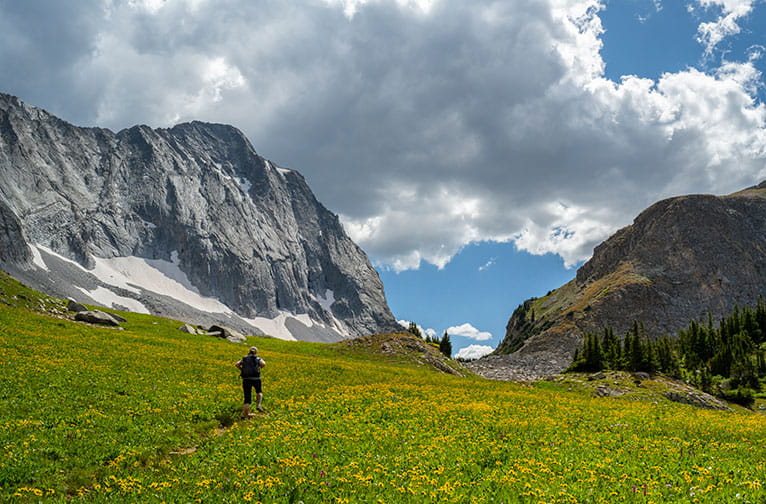 Capitol Peak and a hiker in a meadow near Aspen