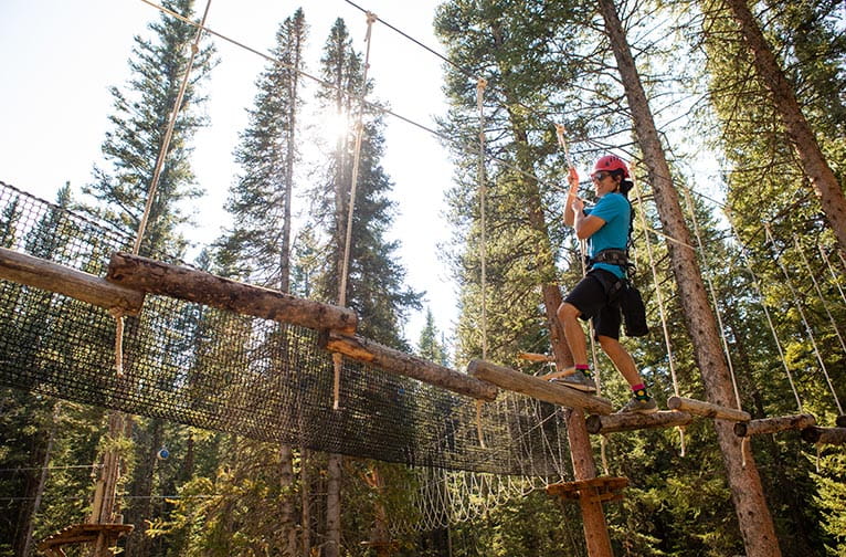Treeline Challenge Trail