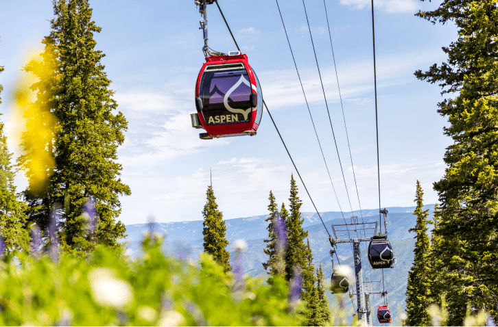 Red and black gondola cars travel up the mountain above green grass and wildflowers on Aspen Mountain