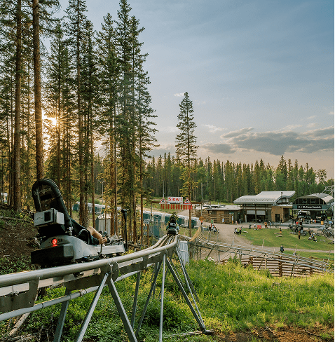 Alpine coaster at Elk Camp