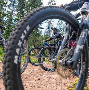 Ground view of mountains bikes on the trail