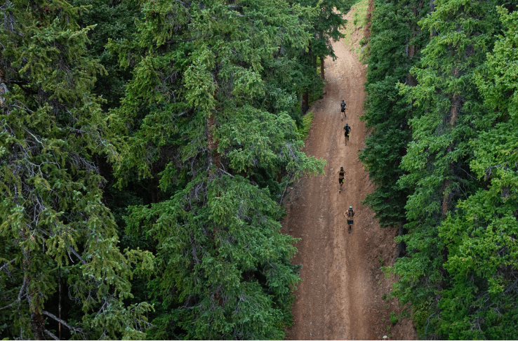 Aerial view of trail in lost forest and riders on it