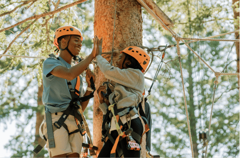 Couple high fives each other in the trees of Snowmass Lost Forest