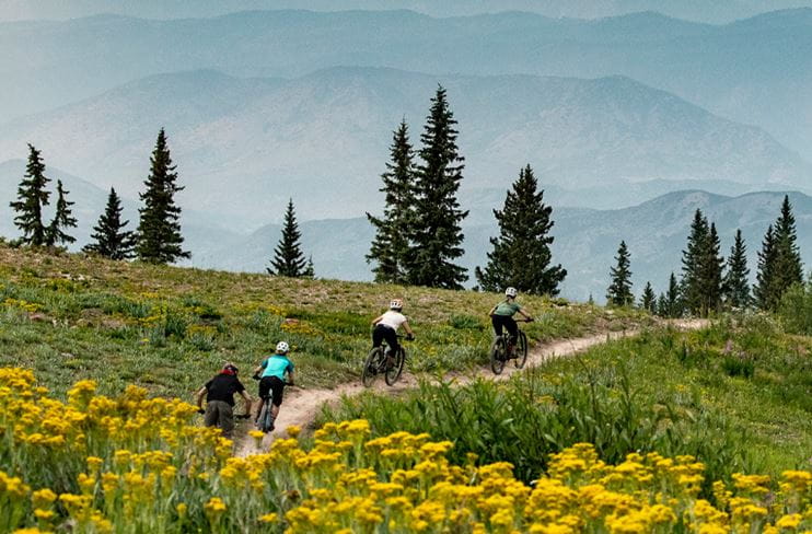 Mountain biking through wildflowers on a single-track trail in the Roaring Fork Valley