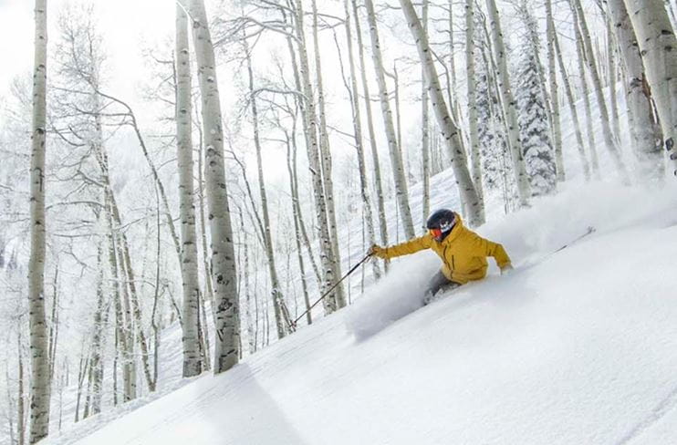A skier shredding powder by a stand of aspen trees