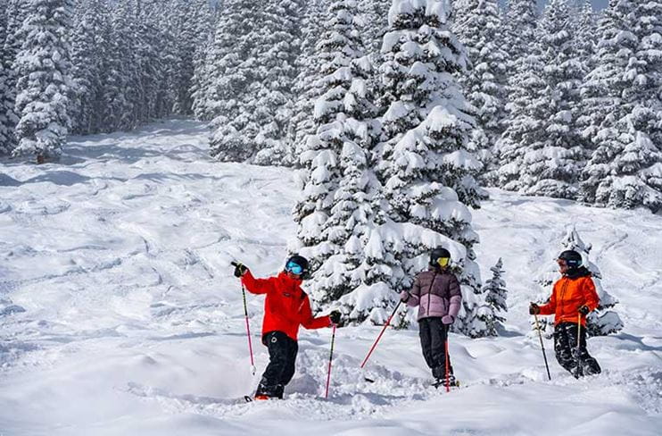 Ski Pro Tips for Skiers