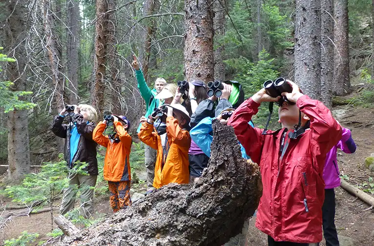 Environment Foundation Programming: Introducing children to birdwatching