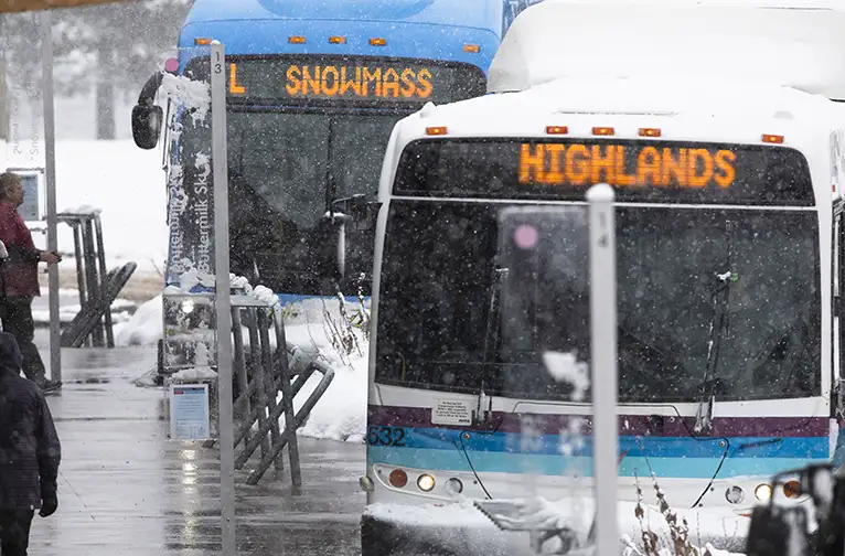 RFTA buses at a station