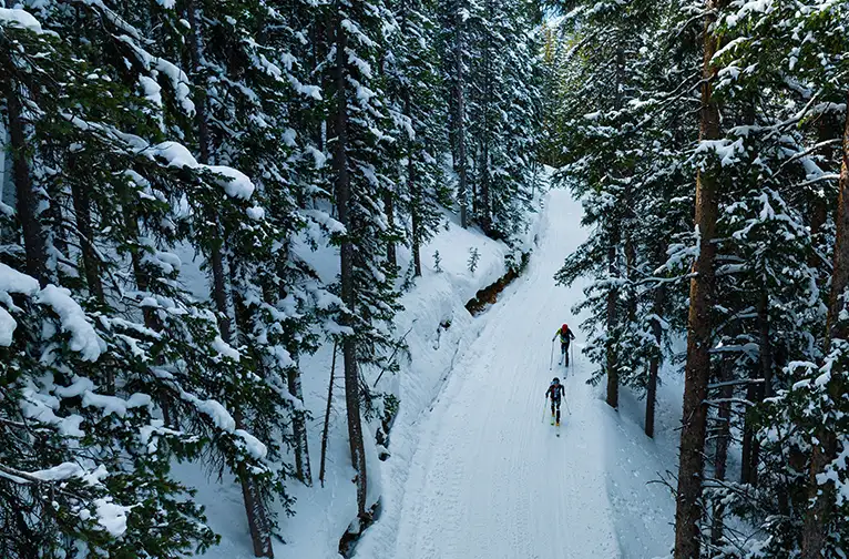 Two skiers in the woods between Snowmass and Aspen Highlands