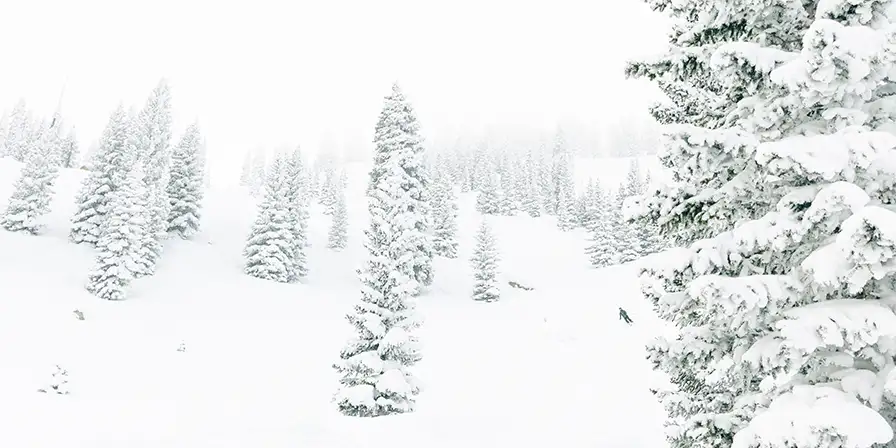 Powder day conditions at Aspen Highlands