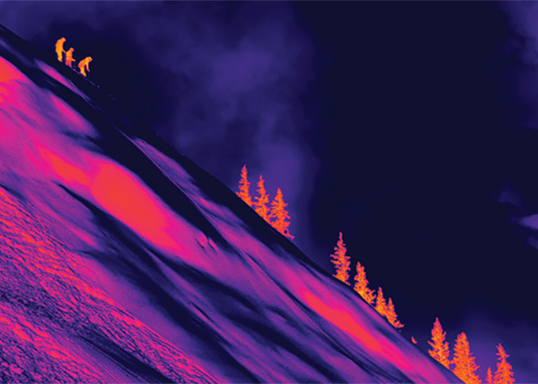 Picture of sustainability report