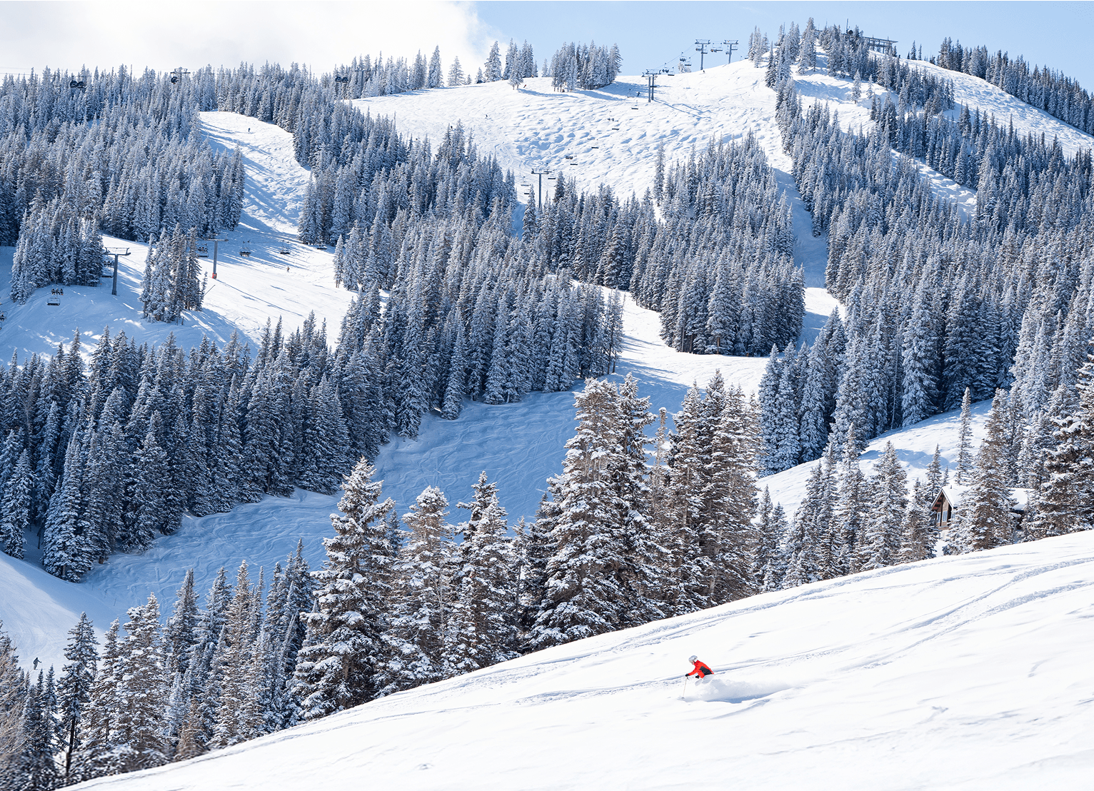 Single skier on open run, trees covered in snow line the run, deep snow surrounds the skiers legs