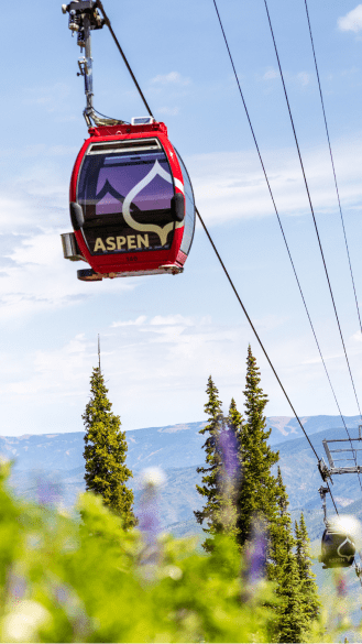 Gondola above green grass and purple flowers under blue summer skies