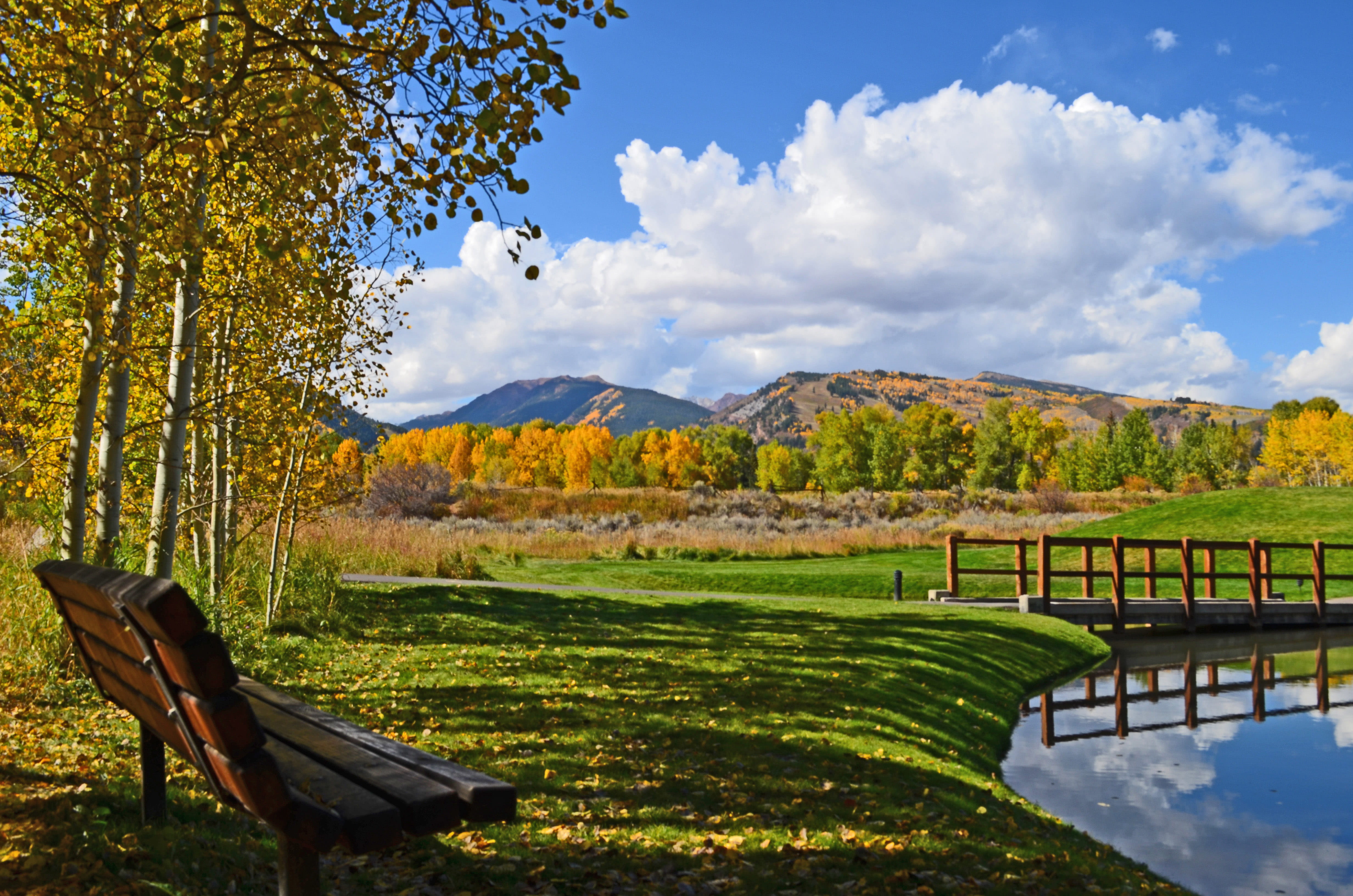 Aspen Meadows