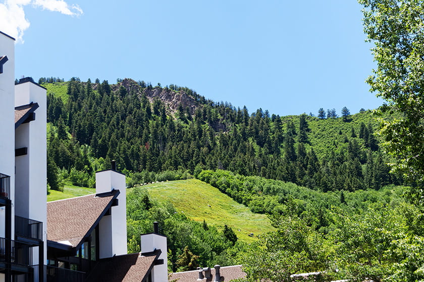 Fifth Avenue Condominiums