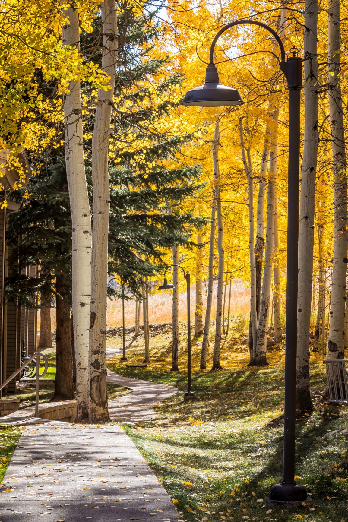 Timberline Condominiums