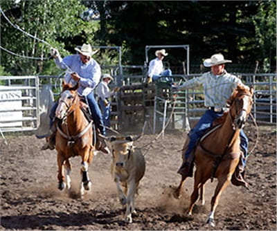 53:6e:6f:77:6d:61:73:73:20:56:69:6c:6c:61:67:65:20:52:6f:64:65:6f