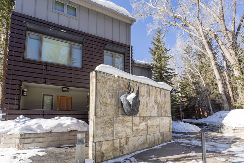 Black Swan Townhomes