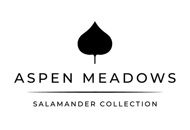 Aspen Meadows Logo