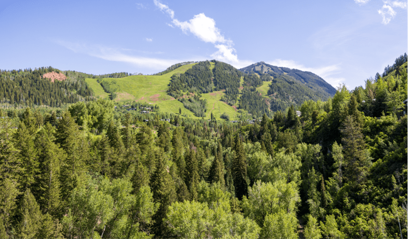 Long view of the front of aspen mountain, green tree tops and blue summer sky above the runs