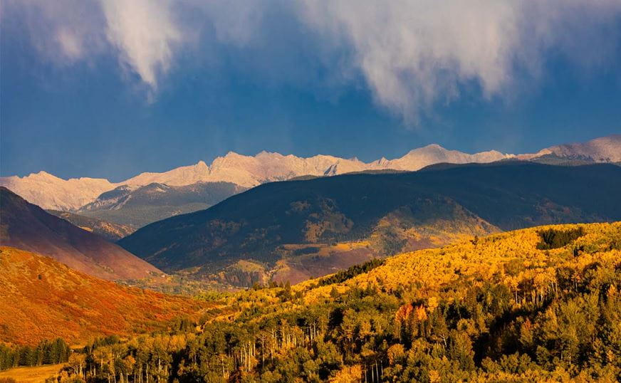 a mountain range with trees and yellow leaves