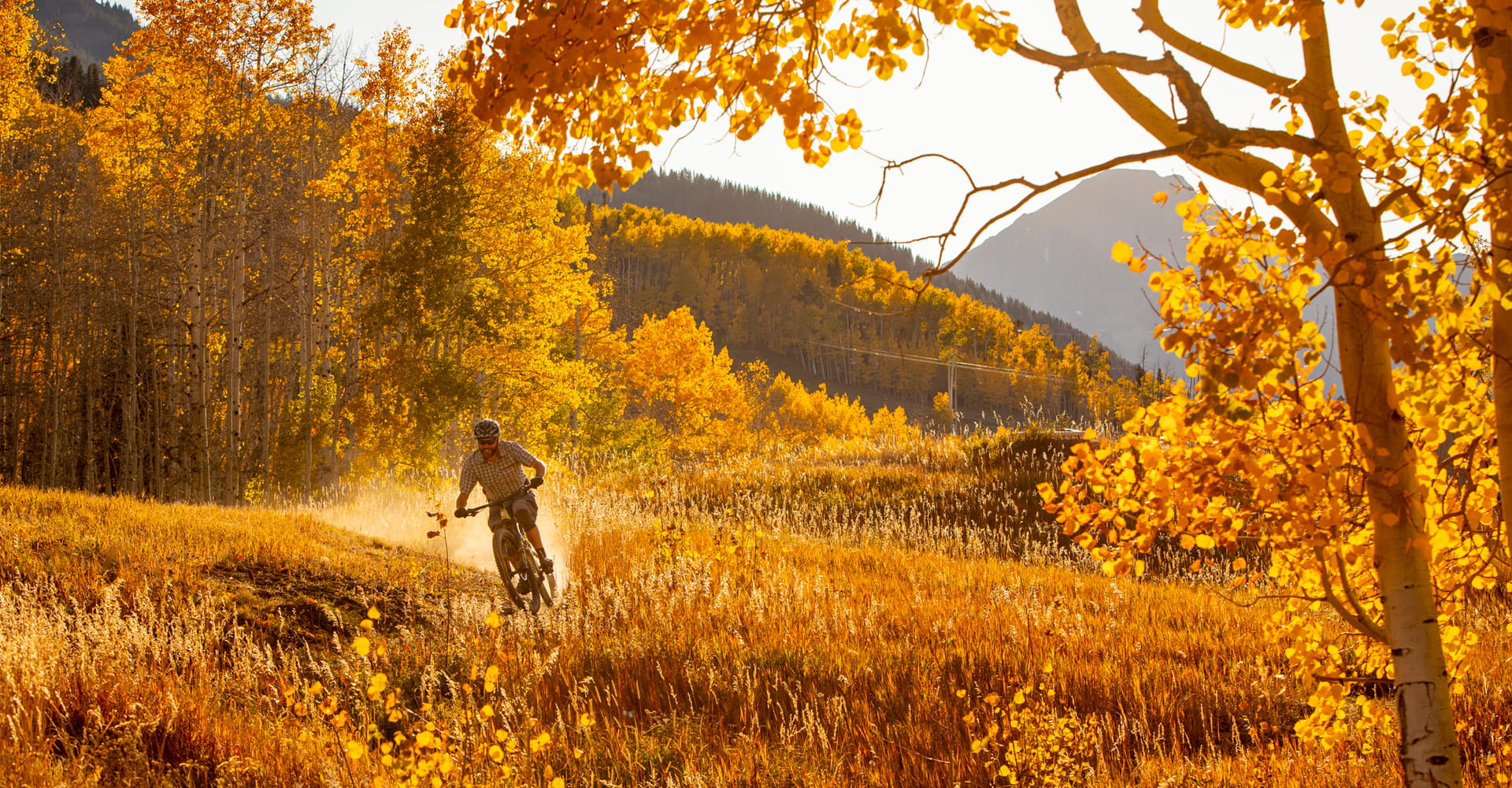 Mountain biking through autumn splendor and golden aspen trees